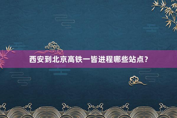 西安到北京高铁一皆进程哪些站点？