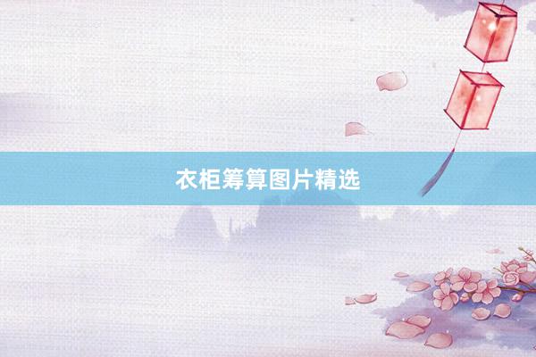 衣柜筹算图片精选